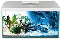 AQUAEL Leddy Plus 75 Day&Night white | Akvárium szett (fehér) - 75x35x40 cm