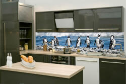 DIMEX ART Fototapet pentru bucătărie - pinguini 260 x 60 cm