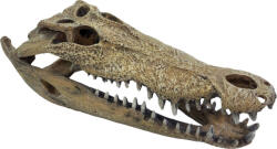 Repto | DECO CROCODILE XXL | Krokodil koponya dekoráció - 47x20x15 cm