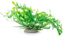 JK | Ludwigia, műnövény dekoráció - 14-17 cm