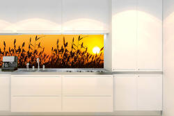 DIMEX ART Fototapet pentru bucătărie - stuf 180 x 60 cm