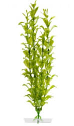 JK | Hygrophila, műnövény dekoráció - 25-28 cm