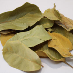 Pet King Pet King| Mandioca levél| természetes szárított levél dekoráció - 1, 5 liter