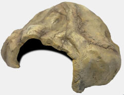 Repto Deco Cave | Hüllő barlang - XL