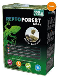 Repto | FOREST MOSS | Erdei moha dekoráció - 100 g