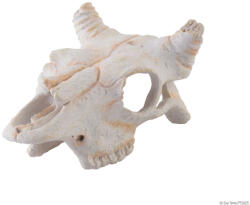 Exo Terra Buffalo Skull | Bölény koponya - kicsi