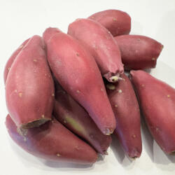  Kaktuszfüge| - növényevő hüllők részére ~ 15g / db