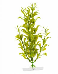 JK | Hygrophila, műnövény dekoráció - 18-21 cm