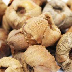 Pet King Pet King| Mini kókusz| természetes dekor terráriumba - 1, 5 liter