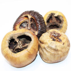 Pet King Pet King| Talami| természetes dekor terráriumba - M - 2 db