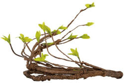 Repti Zoo Műnövény | Leveles ág - közepes