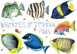 DIMEX ART Fototapetă vlies pești tropicali 375 x 250 cm