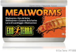 Hagen Canned Mealworms | Lisztkukac konzerv - 34 g