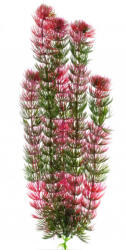 JK | Red Anacharis | Piros Anacharis, műnövény dekoráció - 38-43 cm