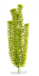 JK | Anacharis, műnövény dekoráció - 38-43 cm