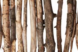 DIMEX ART Fototapetă vlies crenuțe de lemn 375 x 250 cm
