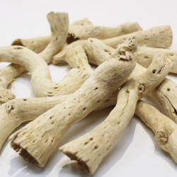 Pet King Pet King| Szárított sivatagi gyökerek| természetes dekor terráriumba - 10 db