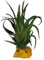 Repto | PLANT TILLANDSIA | Műnövény dekoráció - 8x7x7 cm