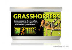 Hagen Canned Grasshoppers | Sáska konzerv - 34 g