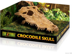 Exo Terra Crocodile Skull | Krokodil koponya