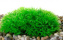 JK | Műnövény, dekoráció - 11 cm