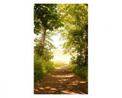 DIMEX ART Fototapetă vlies cale de pădure 150 x 250 cm