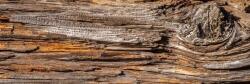 DIMEX ART Fototapet pentru bucătărie - scoarță de copac 180 x 60 cm