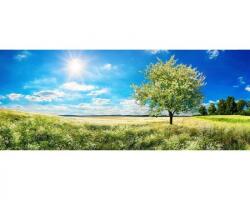 DIMEX ART Fototapet panoramic vlies cu copac în pajiște 375 x 150 cm