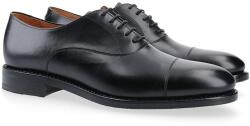 Berwick Warrick - 42, 5 (P49977)