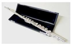 Viento fuvola FL 208R