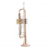  Garry Paul GP-TR-8334QSN Bb trombita