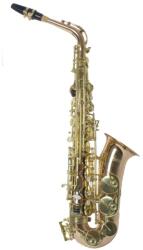  Fontaine FNAS-200GB Altszaxofon