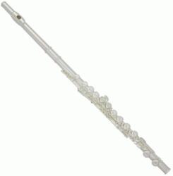 Trevor James Trevor J. James 31CF-EA Cantabile fuvola, ezüst fejes zárt