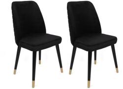 ASIR GROUP Étkezőszék Szett 2 db Hugo-366 V2