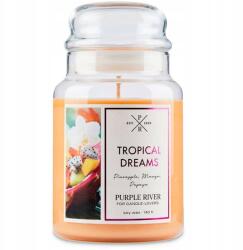 Purple River Szója illatgyertya Mangó Papaya Purple River (4260725361695)