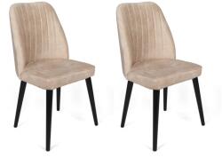 ASIR GROUP Étkezőszék Szett 2 db Alfa -434 V2