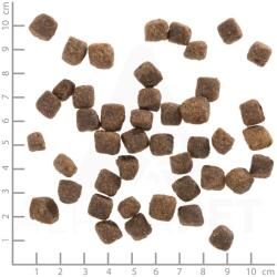 Wolfsblut Deep Glade Kölyökkutya 2 kg