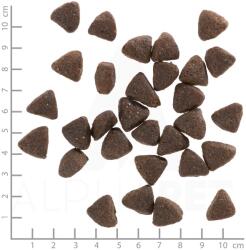 Wolfsblut Wild Boar Felnőtt 2 x 12, 5 kg