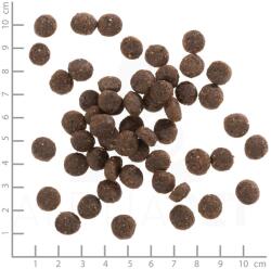 Wolfsblut Range Bárány, Kölyökkutya 2 kg