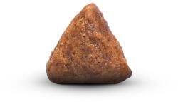 Arden Grange GF Adult Cat Chicken & Potato 400 g