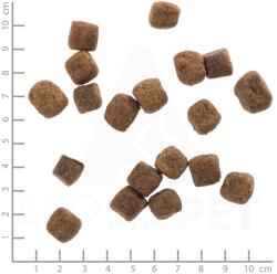 Wolfsblut Wild Duck & Turkey Adult 12, 5 kg