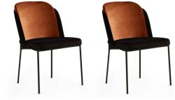 ASIR GROUP Étkezőszék Szett 2 db DR - 147 V2