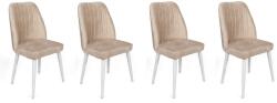 ASIR GROUP Étkezőszék Szett 4 db Alfa-494 V4