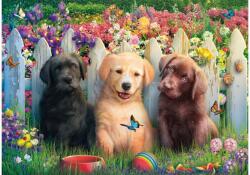 Schmidt Spiele 58883 - Cute puppies scene - 1000 db-os puzzle (58883)