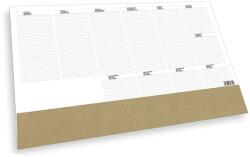 TOPTIMER Íróalj TOPTIMER T110 576x407mm bézs 2026 (T110T-007) - vectraline