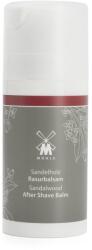 MÜHLE Balsam după bărbierit Mühle - Sandalwood (100 ml) - 100 ml (P21879)