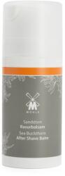 MÜHLE Balsam după bărbierit Mühle - Sea Buckthorn (100 ml) - 100 ml (P21883)
