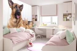 DIMEX ART Самозалепваща се флизелинова фототапета котка и куче 375 x 250 см