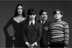  Plakát Szerda Családi, 61x90cm, poszter2036, Többszínű (poster2036)