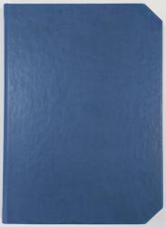 EGO Agenda Linea, 22 cm, nedatata, permanenta, albastru, Ego P-LN-CV3